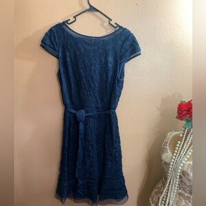 Adrianna Papell Elegant Navy Lace Sheer Net Dress 14
